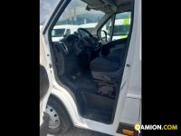 Fiat Mod. FIAT Vers. FIAT | Leggero Furgone <= 35 q.li Furgone di serie / Van | INDUSTRIAL CARS S.P.A