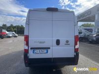Fiat Mod. FIAT Vers. FIAT | Leggero Furgone <= 35 q.li Furgone di serie / Van | INDUSTRIAL CARS S.P.A