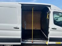 Ford Mod. FORD Vers. FORD | Leggero Furgone <= 35 q.li Furgone di serie / Van | INDUSTRIAL CARS S.P.A