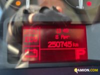 Iveco Mod. IVECO Vers. IVECO | Leggero Cabinato <= 35 q.li Isotermico con gruppo frigo | INDUSTRIAL CARS S.P.A