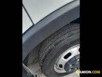 Iveco Mod. IVECO Vers. IVECO | Leggero Cabinato <= 35 q.li Altro | INDUSTRIAL CARS S.P.A