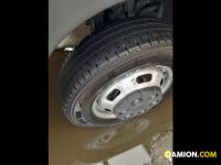 Iveco Mod. IVECO Vers. IVECO | Leggero Cabinato <= 35 q.li Altro | INDUSTRIAL CARS S.P.A