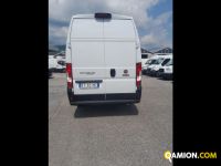 Fiat Mod. FIAT Vers. FIAT | Leggero Furgone <= 35 q.li Furgone di serie / Van | INDUSTRIAL CARS S.P.A
