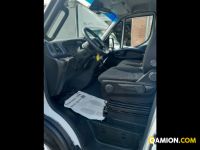 Iveco Mod. IVECO Vers. IVECO | Leggero Cabinato <= 35 q.li Altro | INDUSTRIAL CARS S.P.A