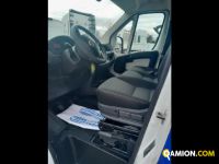 Fiat Mod. FIAT Vers. FIAT | Leggero Furgone <= 35 q.li Furgone di serie / Van | INDUSTRIAL CARS S.P.A