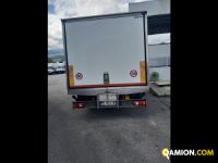 Iveco Mod. IVECO Vers. IVECO | Leggero Cabinato > 35 q.li Isotermico con gruppo frigo | INDUSTRIAL CARS S.P.A