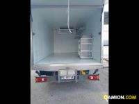 Iveco Mod. IVECO Vers. IVECO | Leggero Cabinato > 35 q.li Isotermico con gruppo frigo | INDUSTRIAL CARS S.P.A