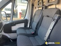 Fiat Mod. FIAT Vers. FIAT | Leggero Furgone <= 35 q.li Furgone di serie / Van | INDUSTRIAL CARS S.P.A