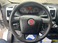 Fiat Mod. FIAT Vers. FIAT | Leggero Furgone <= 35 q.li Furgone di serie / Van | INDUSTRIAL CARS S.P.A