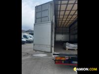 Iveco Mod. IVECO Vers. IVECO | Leggero Cabinato > 35 q.li Scarrabile con gancio | INDUSTRIAL CARS S.P.A