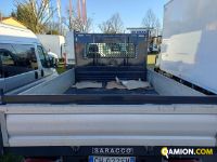 Iveco DAILY 35C14H DAILY 35C14H Altro | Iveco Orecchia