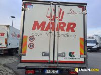 Iveco DAILY 50C15 DAILY 50C15 | Altro Altro | Iveco Orecchia