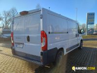 Fiat DUCATO DUCATO Altro | Iveco Orecchia