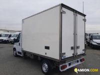 Fiat DUCATO ducato | Leggero Furgone > 35 q.li Isotermico con gruppo frigo | Iveco Orecchia