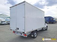 Fiat DUCATO DUCATO | Iveco Orecchia