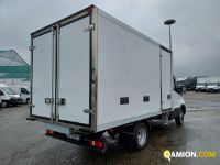 Iveco DAILY 35C16 DAILY 35C16 | Altro Altro | Iveco Orecchia