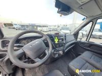 Iveco DAILY 50C15 DAILY 50C15 | Altro Altro | Iveco Orecchia