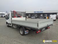 Ford TRANSIT TRANSIT | Altro Altro | Iveco Orecchia
