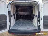 Fiat DOBLO DOBLO Altro | Iveco Orecchia
