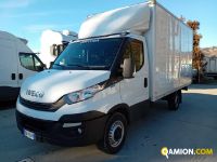 Iveco DAILY 35S14 DAILY 35S14 | Altro Altro | Iveco Orecchia