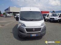 Fiat DUCATO 2.3 DUCATO 2.3 | Altro Altro | Iveco Orecchia