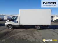 Iveco DAILY 35S16 - 4100 DAILY 35S16 - 4100 Altro | Iveco Orecchia