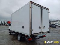 Iveco DAILY 35C16 DAILY 35C16 | Altro Altro | Iveco Orecchia