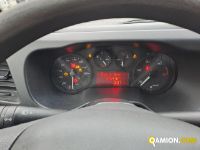 Iveco DAILY 35C12 DAILY 35C12 | Altro Altro | Iveco Orecchia