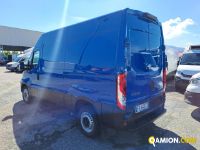 Iveco DAILY 35S16 - 3520 DAILY 35S16 - 3520 | Altro Altro | Iveco Orecchia