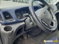 Iveco DAILY 35S16 - 3520 DAILY 35S16 - 3520 | Altro Altro | Iveco Orecchia