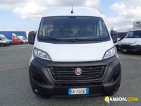 Fiat DUCATO DUCATO | Altro Altro | Iveco Orecchia