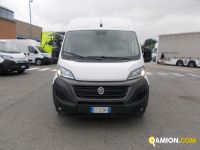 Fiat DUCATO DUCATO | Altro Altro | Iveco Orecchia
