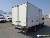 Iveco DAILY 35C16 DAILY 35C16 | Altro Altro | Iveco Orecchia