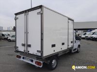 Fiat DUCATO ducato | Leggero Furgone > 35 q.li Isotermico con gruppo frigo | Iveco Orecchia