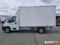 Fiat DUCATO DUCATO | Iveco Orecchia