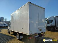 Iveco DAILY 35C14 DAILY 35C14 Altro | Iveco Orecchia