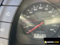 Iveco STRALIS 480 STRALIS 480 | EUROCAR2002 S.R.L.