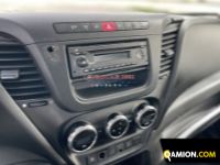 Iveco Daily 35C17 3 0 16V Daily 35C17 3 0 16V | EUROCAR2002 S.R.L.