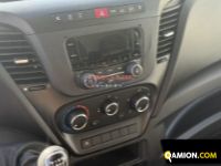 Iveco DAILY 35S14 DAILY 35S14 | EUROCAR2002 S.R.L.