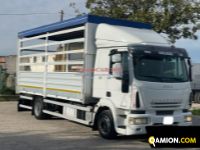 Iveco Eurocargo 120E22 Eurocargo 120E22 | EUROCAR2002 S.R.L.