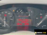 Iveco Daily 35C15 3 0 16V Daily 35C15 3 0 16V | EUROCAR2002 S.R.L.