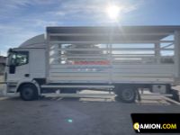 Iveco Eurocargo 120E22 Eurocargo 120E22 | EUROCAR2002 S.R.L.