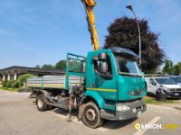 Renault MIDLUM - GRU e RIBALTABILE MIDLUM - GRU e RIBALTABILE | Altro Cassone Ribaltabile