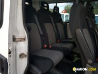 Iveco DAILY 9 POSTI PULMINO | Altro Altro