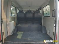 Iveco DAILY 9 POSTI PULMINO | Altro Altro