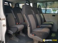 Iveco DAILY 9 POSTI PULMINO | Altro Altro