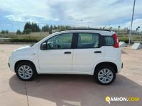 Fiat PANDA  | Altro Altro