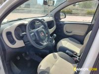 Fiat PANDA  | Altro Altro