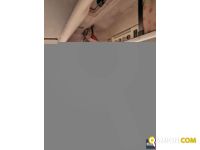 Volvo FH 12.460 | Altro Altro