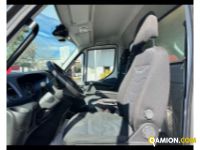 Iveco Daily 35 C16H 3.0 BOX E SPONDA Daily 35 C16H 3.0 BOX E SPONDA Altro | ATL SPA